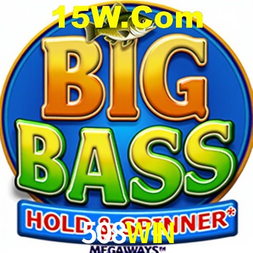PIX Instantâneo 508WIN