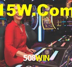 Programa VIP 508WIN